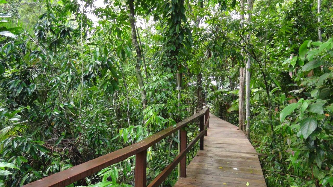 Heritage Lodge - In The Daintree Exterior photo