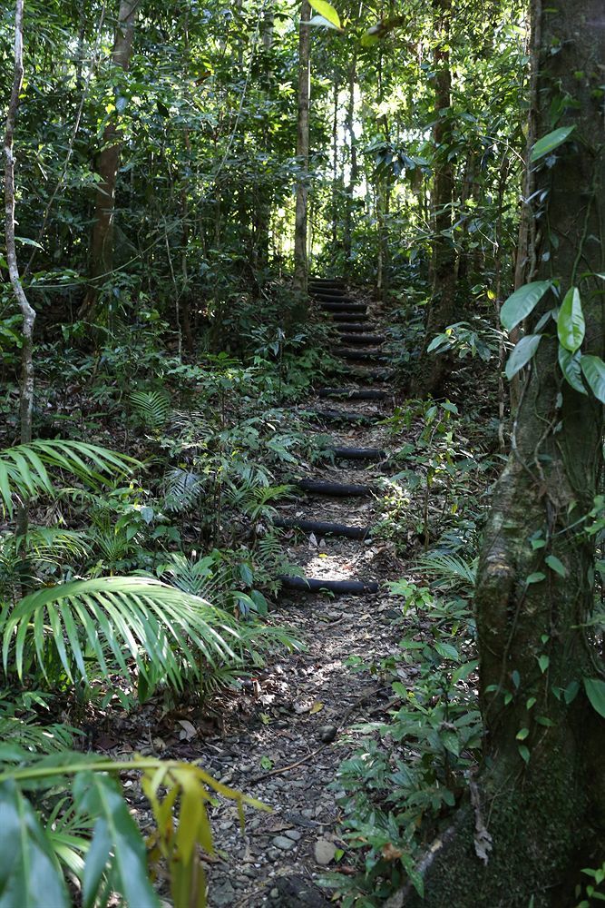 Heritage Lodge - In The Daintree Exterior photo