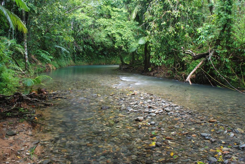Heritage Lodge - In The Daintree Exterior photo